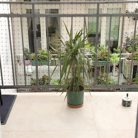 Maison Danube * בלגרד